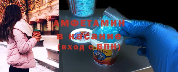 хмурый Бикин
