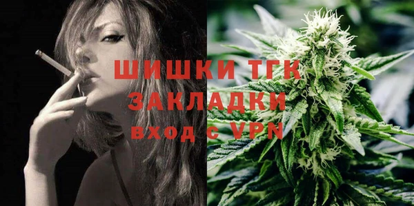 шишки Саяногорск