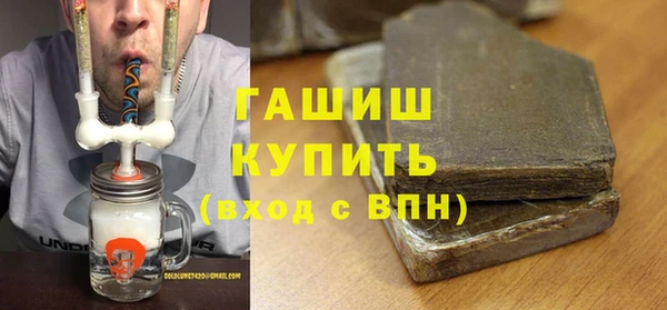 хмурый Бикин