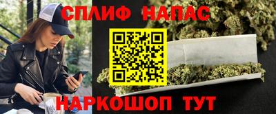 Альфа ПВП Нальчик
