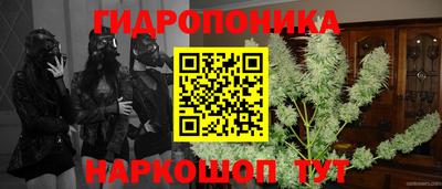 спиды Нарткала
