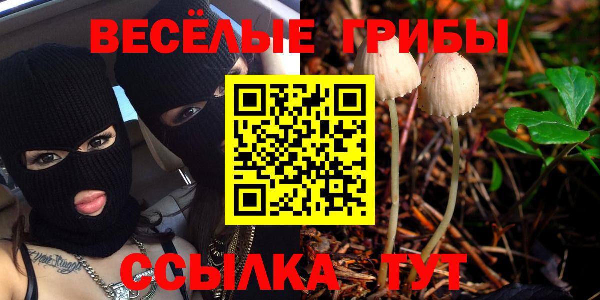 Псилоцибиновые грибы Cubensis Глазов