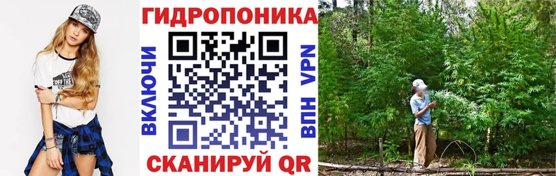 Каннабис план  как найти закладки  Глазов 